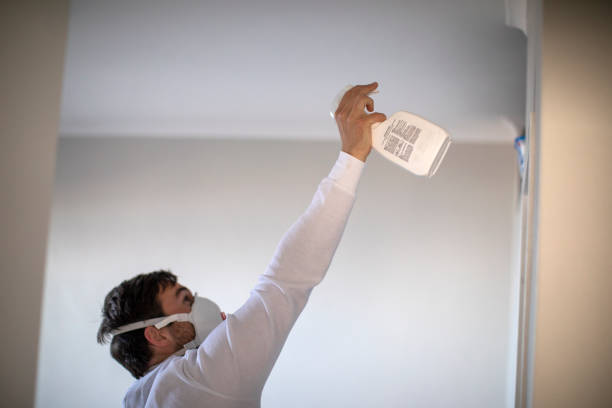 Best Bathroom Mold Remediation in Berlin, MD