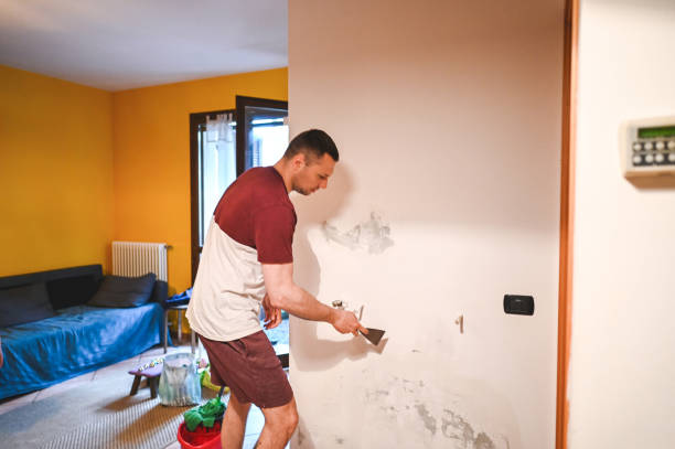 Best Attic Mold Remediation in Berlin, MD